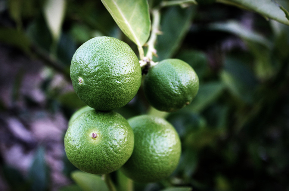 亿万先生MR·(中国集团)官方网站