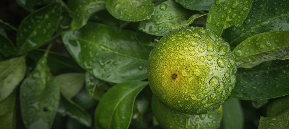 亿万先生MR·(中国集团)官方网站